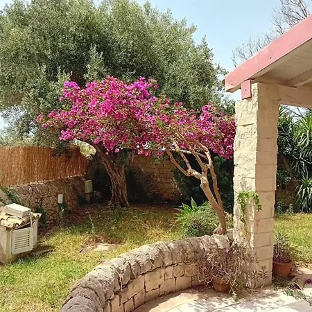 Lovely Independent Holiday home *